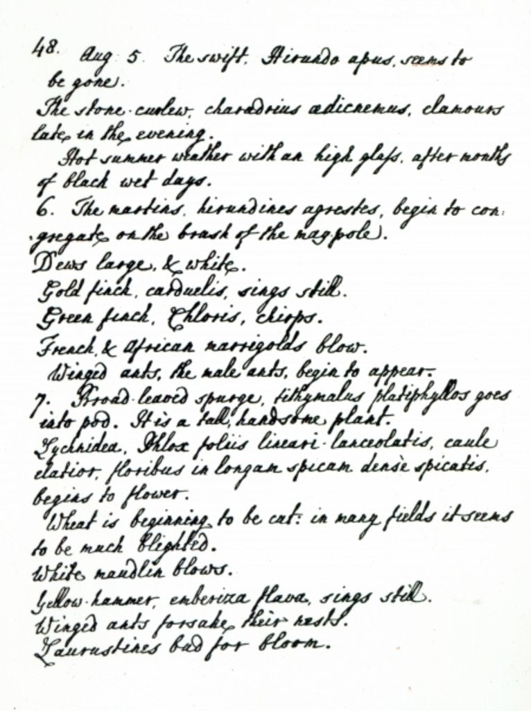 Detail of A page from the diary of Rev. James Woodforde by English School