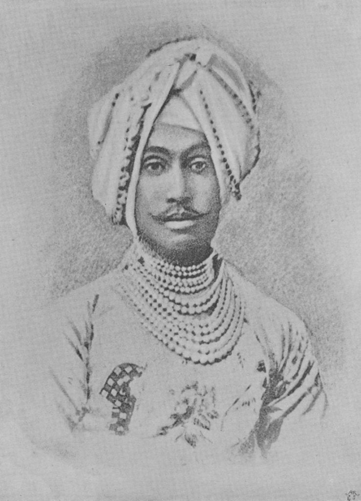 Detail of Maharaja Rajinder Singh by English School