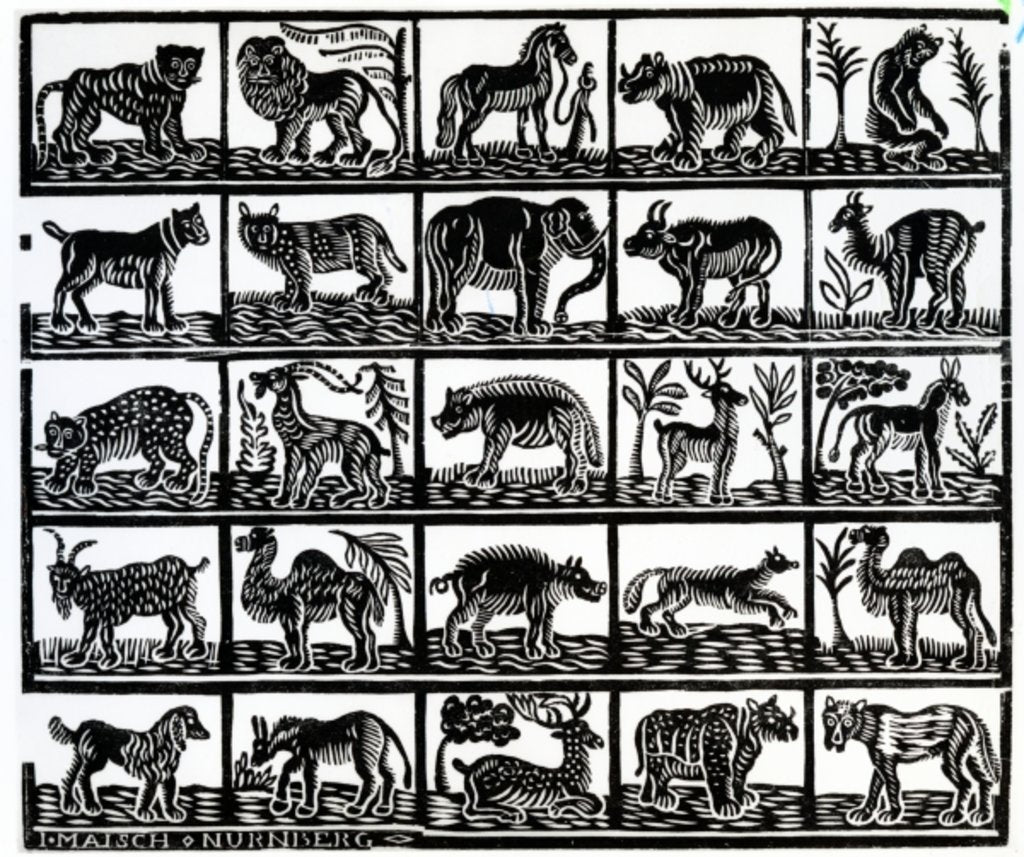 Detail of Collection of animals by School German