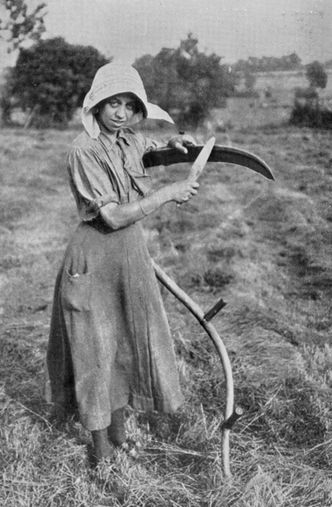 Detail of Harvesting - Member of the Leicester Women's Volunteer Reserve helping a farmer, War Office photographs, 1916 by English Photographer