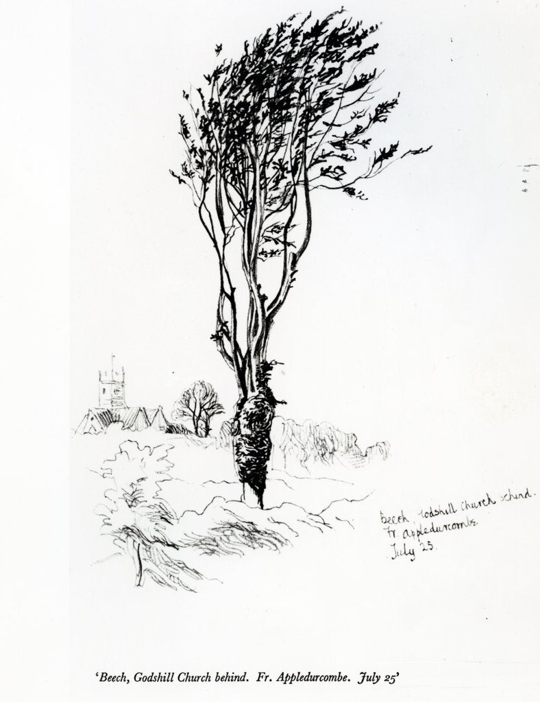 Detail of Beech, Godshill Church behind. Fr. Appledurcombe. July 25, c.1860's by Gerard Manley Hopkins