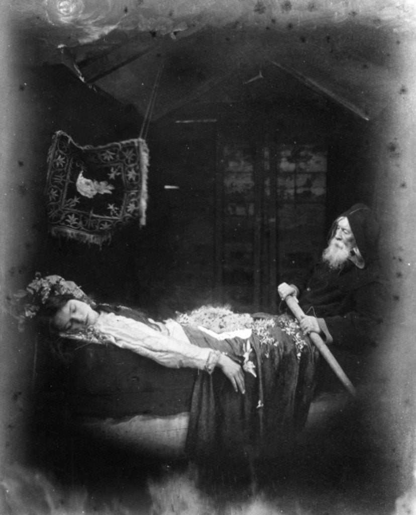 Detail of The Death of Elaine by Julia Margaret Cameron