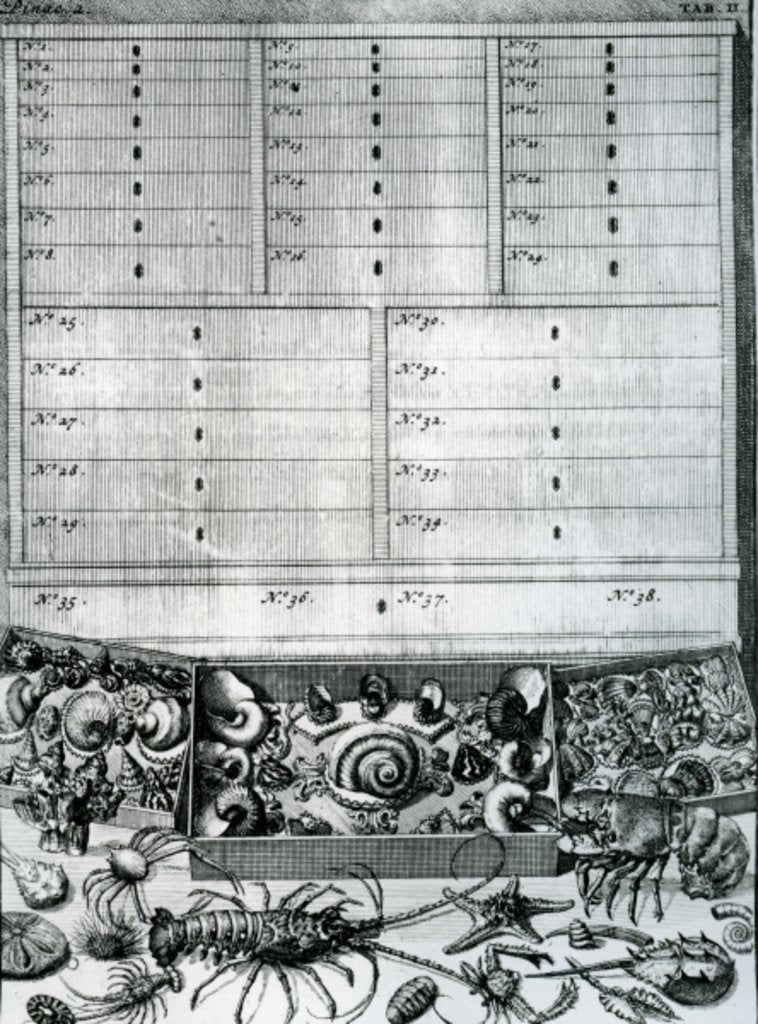 Detail of Table II from 'Elenchus Tabularum' by Levinus Vincent, published 1719 by Dutch School