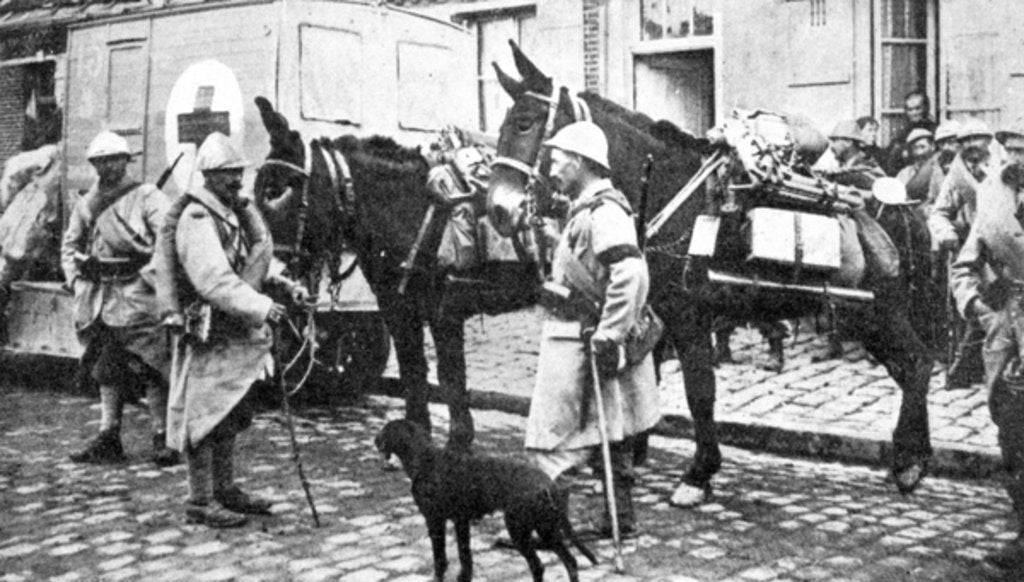 Detail of Red Cross wagon during WWI by English Photographer