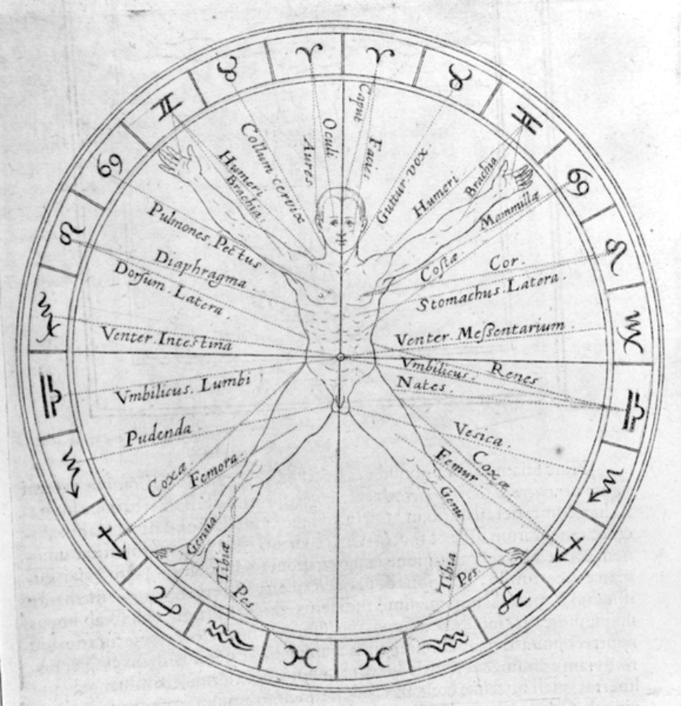 Detail of The science of casting horoscopes by English School