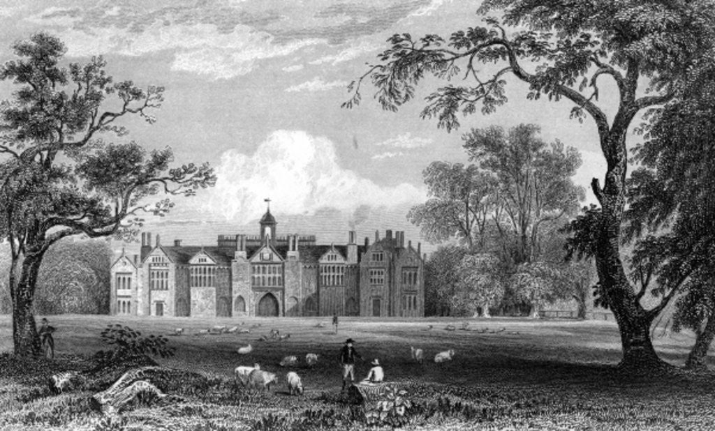 Detail of Gosfield Hall, Essex by William Henry Bartlett