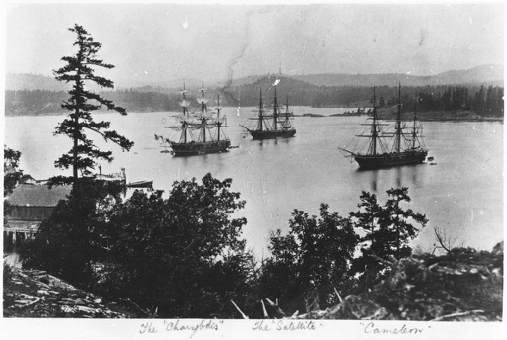 Detail of HMS Charybdis, HMS Satellite and HMS Cameleon at Esquimalt Royal Navy Dockyard, British Columbia, c.1880s by English Photographer