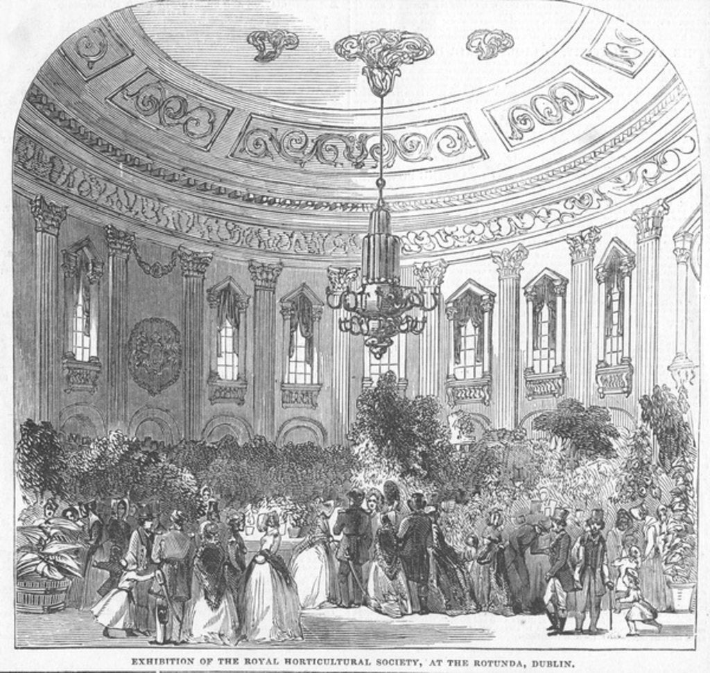 Detail of Exhibition of the Royal Horticultural Society, at the Rotunda, Dublin by English School
