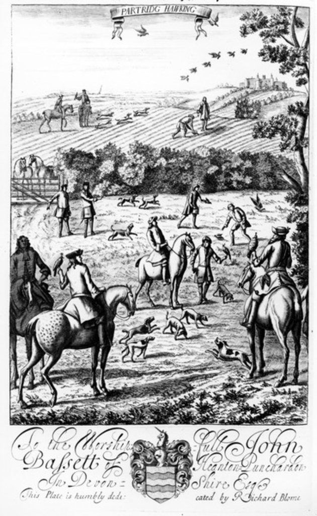 Detail of Partridge Hawking by English School