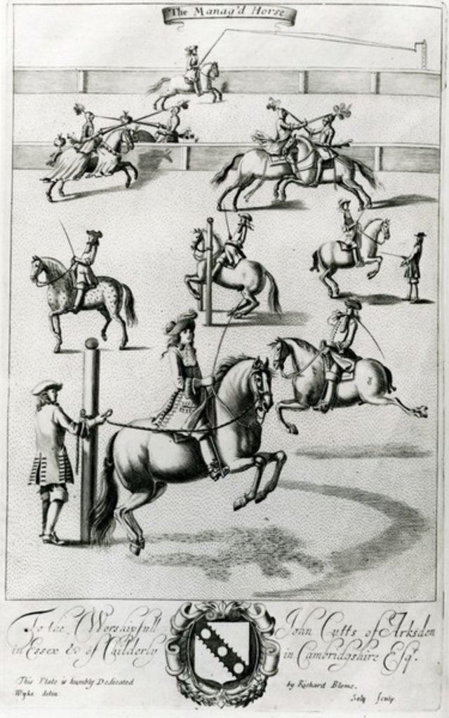 Detail of The Manag'd Horse by English School