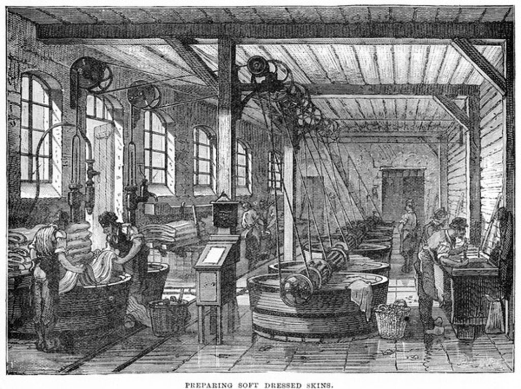 Detail of Preparing Soft Dressed Skins by English School