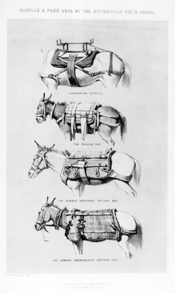 Detail of Saddles and Pads Used by the Abyssinian Field Force by Henry James
