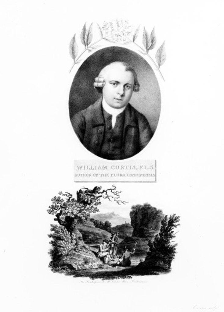 Detail of Frontispiece of 'Flora Londinensis', with a portrait of the author William Curtis, edition published in 1802 by English School