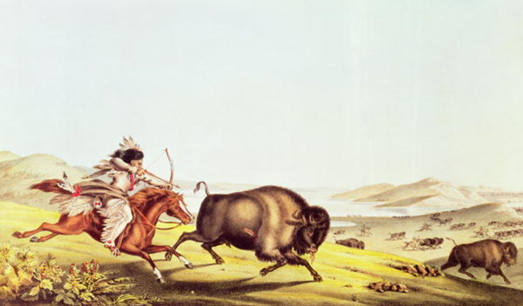 Detail of Hunting the Buffalo by American School
