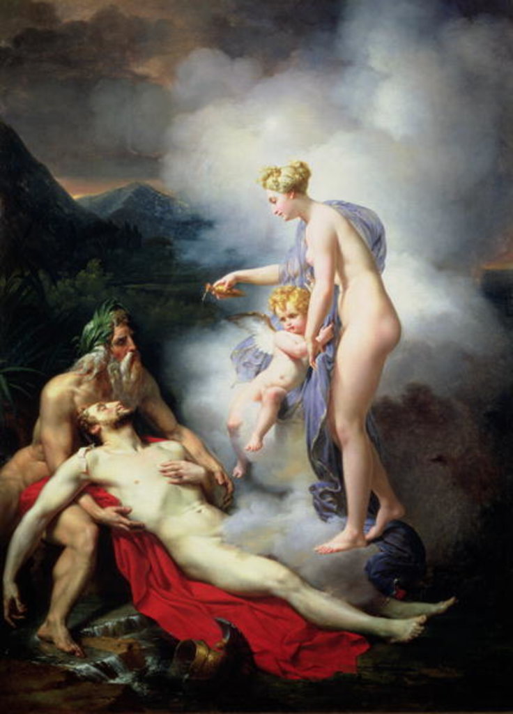 Detail of Venus heals Adonis by French School