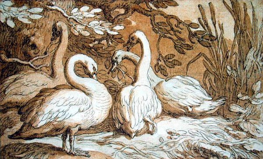 Detail of A Group of Swans by Abraham Bloemaert
