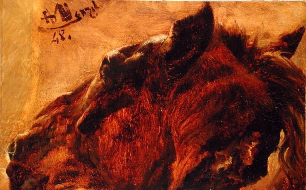 Detail of Head of a Dead Horse, 1848 by Adolph Friedrich Erdmann von Menzel