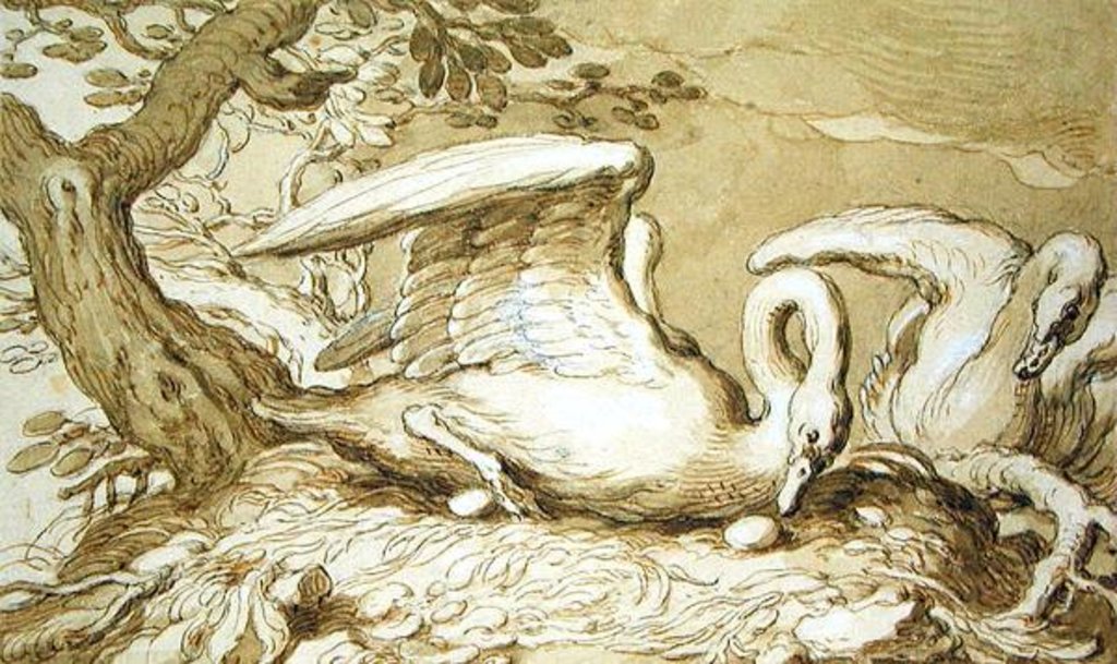Detail of A Swan in her Nest by Abraham Bloemaert