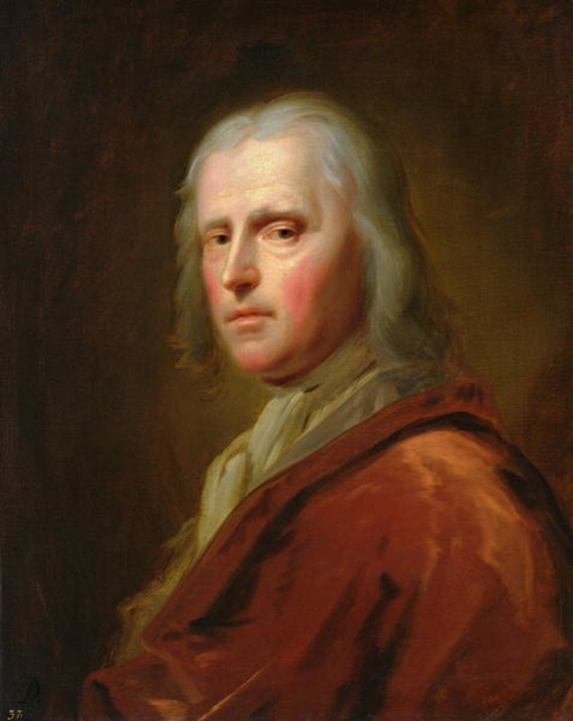 Detail of Portrait of a Man by Balthasar Denner