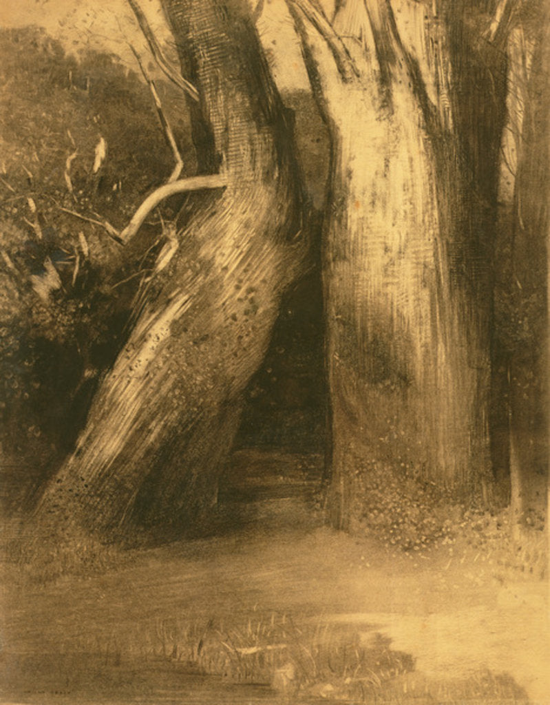 Detail of Two Trees, c.1875 by Odilon Redon