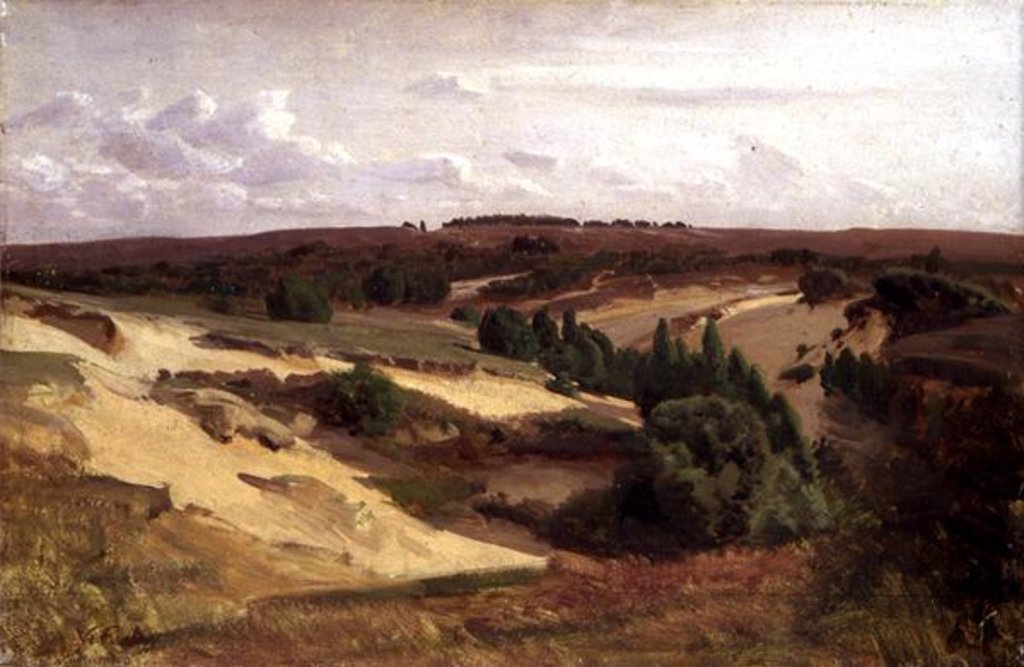 Detail of The heath near Bispingen, 1887 by Valentin Ruths