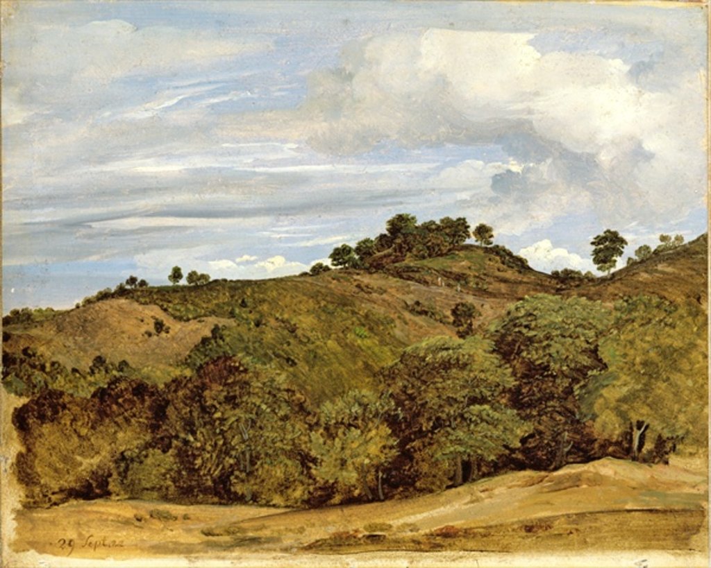 Detail of Landscape near Olevano, 1822 by Heinrich Reinhold
