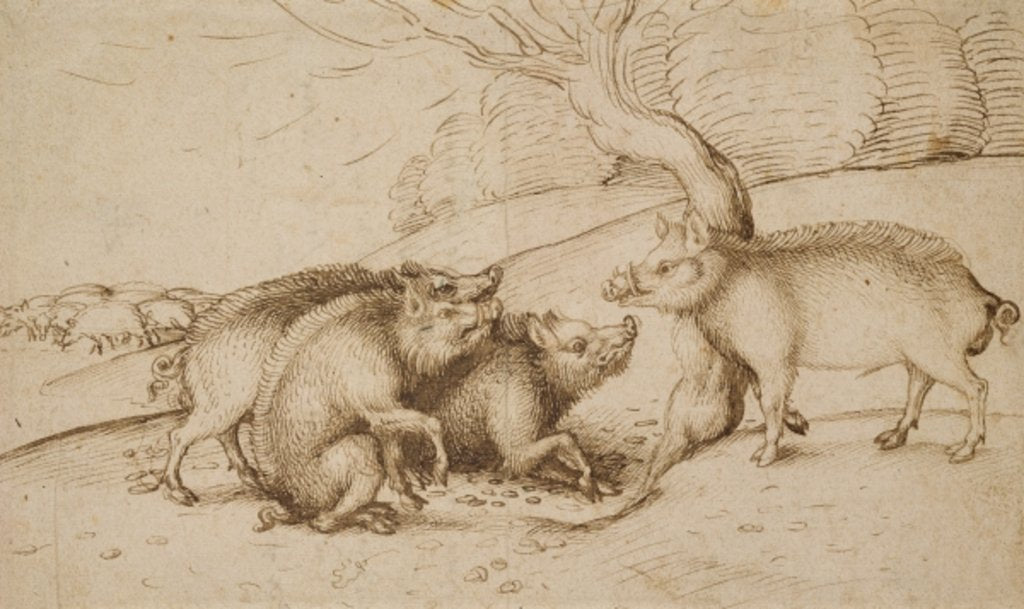 Detail of The Boar Family by Martin Schongauer
