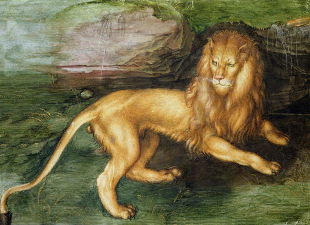 Detail of Lion by Albrecht Dürer or Duerer