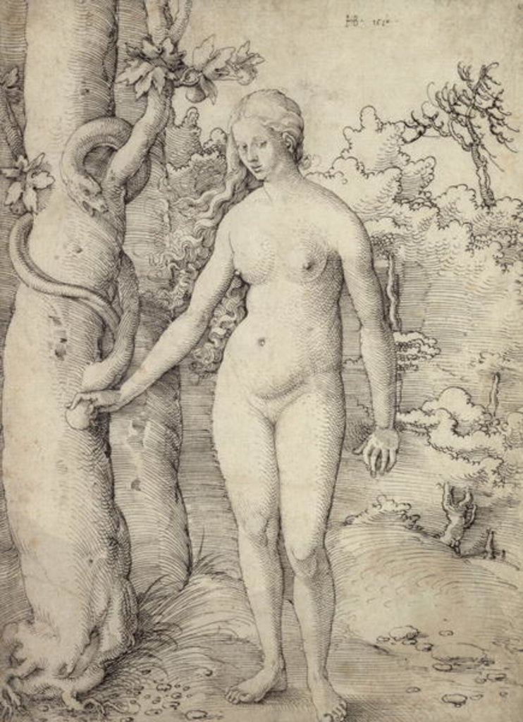 Detail of Eve, 1510 by Hans Baldung Grien