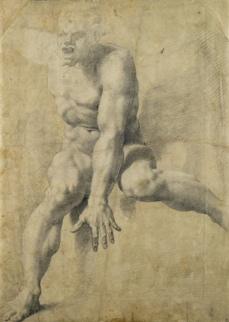 Detail of Polyphemus by Pellegrino Tibaldi