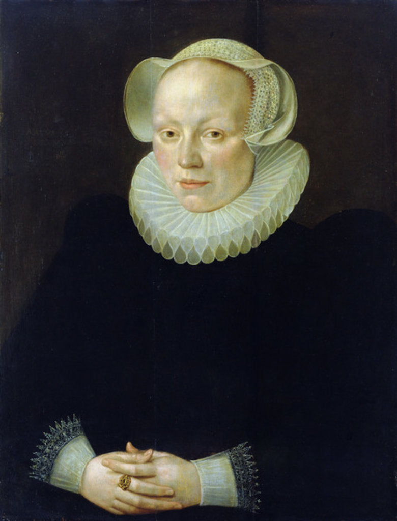Detail of Portrait of a Woman by German School