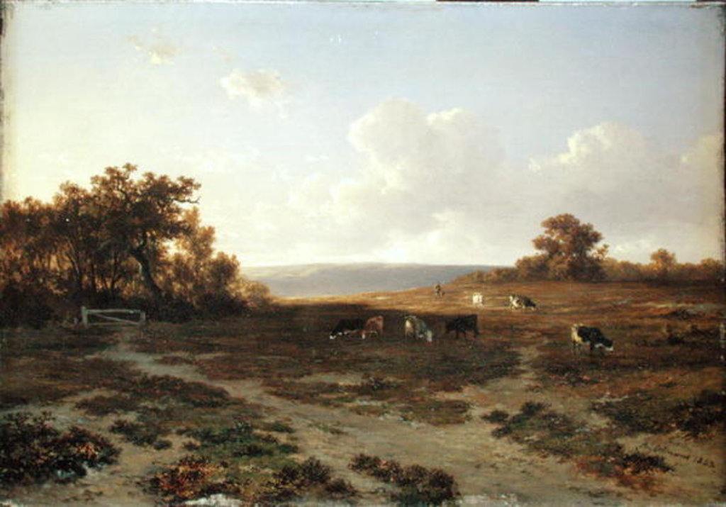 Detail of Heath Landscape with Cows, 1852 by Francois Auguste Ortmans