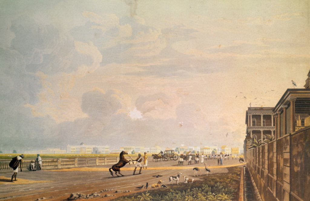 Detail of View of Esplanade Row from the Chouringhee Road, Calcutta by James Baillie (after) Fraser