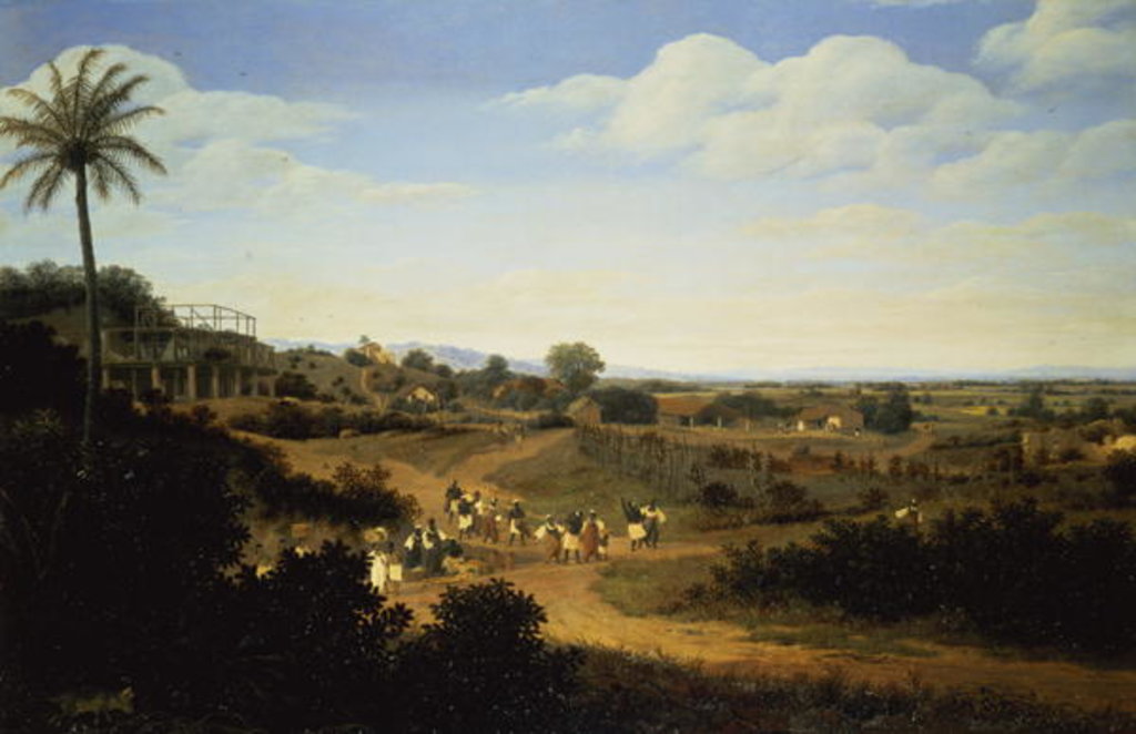 Detail of Panoramic View in Brazil by Frans Jansz Post