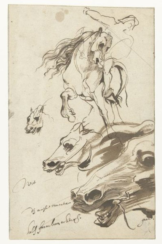 Study of Rider and head of a Horse by Sir Anthony van Dyck