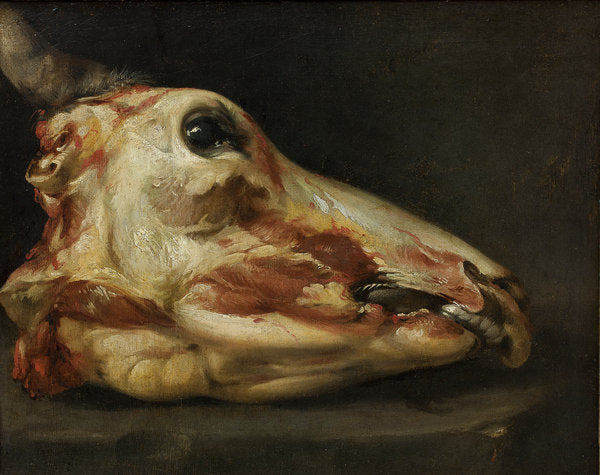 Detail of Skinned Head of a Young Bull, c.1690 by Felice Boselli