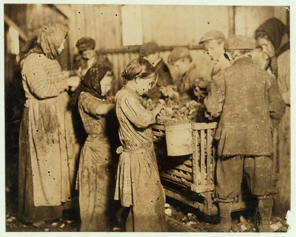 Detail of Shuckers aged about 10 opening oysters in the Varn & Platt Canning Company, Younges Island, South Carolina, 1913 by Lewis Wickes Hine