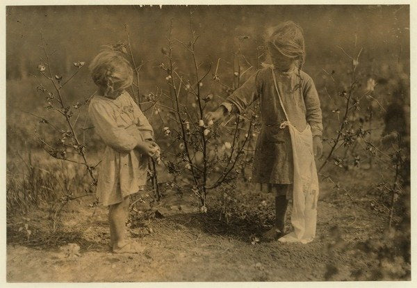 Detail of Millie, aged 4 picks 8 pounds of cotton a day and Nellie 5, picks 30 on a farm near Houston, Texas, 1913 by Lewis Wickes Hine