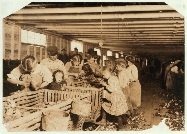 Detail of Rosy aged 8 works a 14 hour day as an oyster shucker at Dunbar Cannery, Louisiana, 1911 by Lewis Wickes Hine