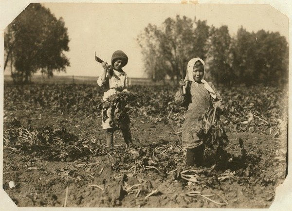 Detail of Amelia and Mary Luft, 9 and 12, cutting sugar beet on farm near Sterling, Colorado, 1915 by Lewis Wickes Hine