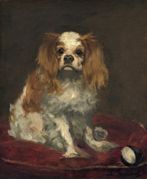 Detail of A King Charles Spaniel, c.1866 by Edouard Manet