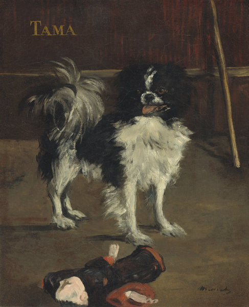 Detail of Tama, the Japanese Dog, c.1875 by Edouard Manet