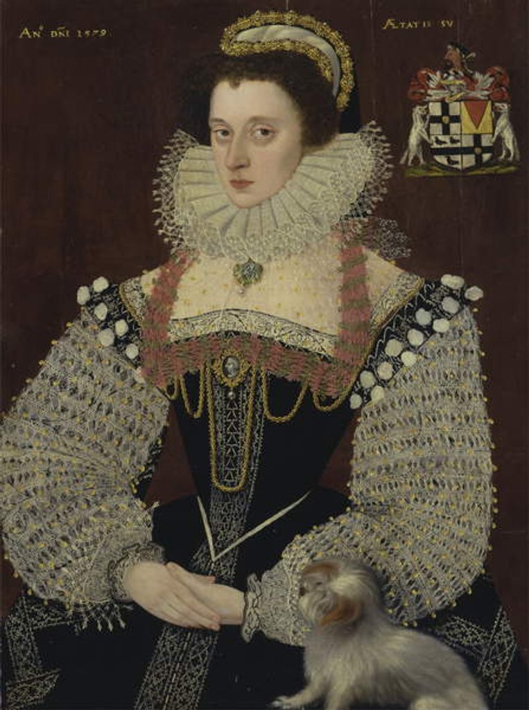 Detail of Frances, Lady Brydges, 1579 by John the Younger Bettes