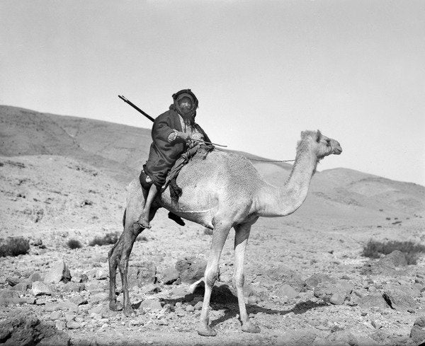 Detail of Bedouin riding a camel, c.1936 by Anonymous