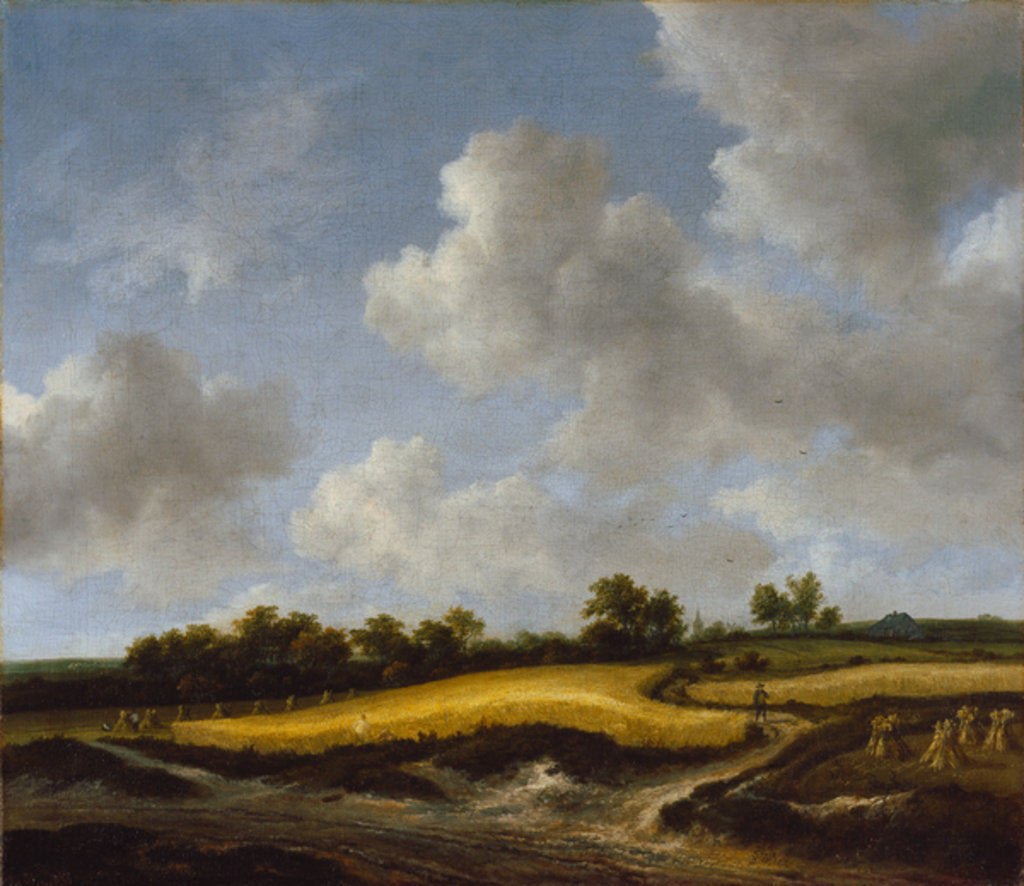 Detail of Landscape with a Wheatfield, c.1660 by Jacob Isaaksz. or Isaacksz. van Ruisdael