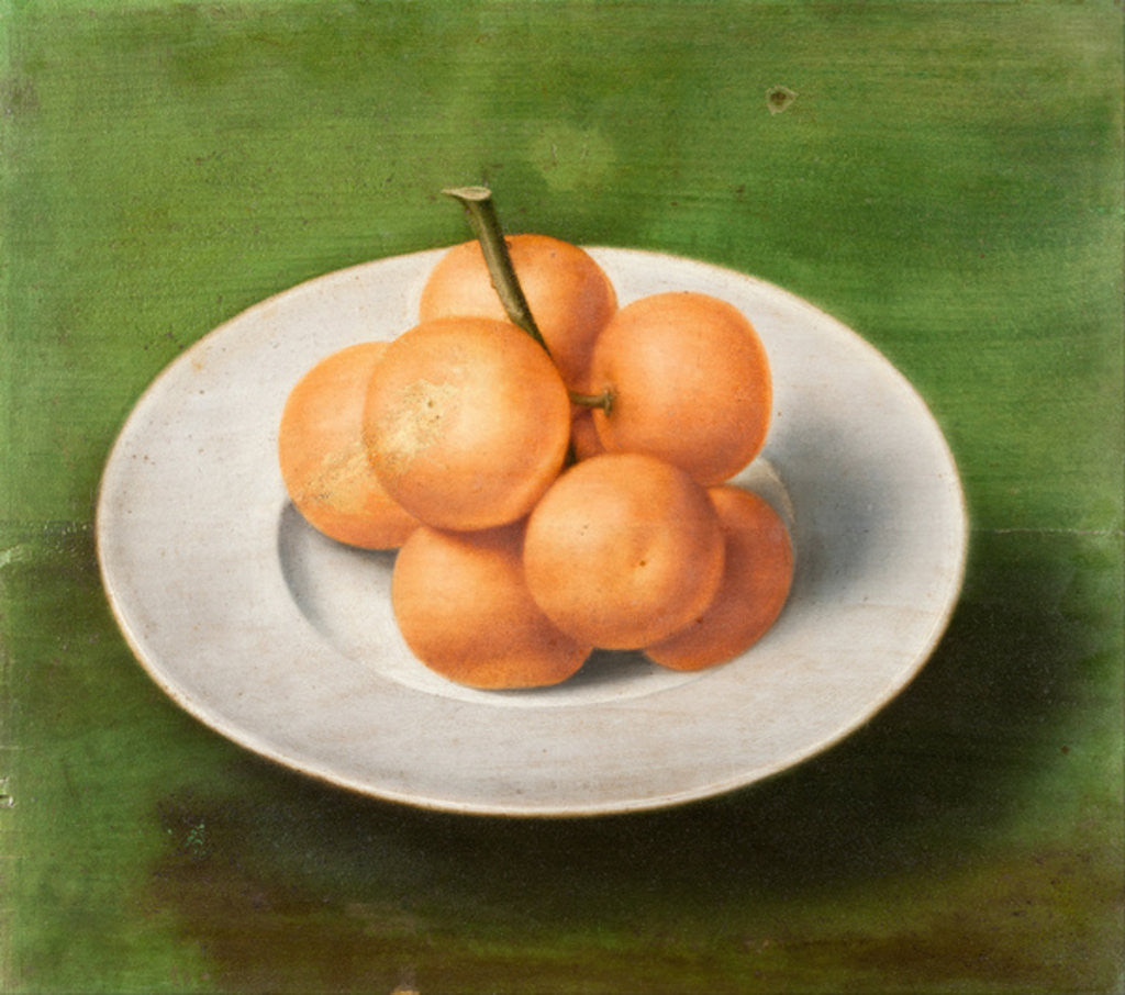 Detail of Still life with oranges by Anonymous