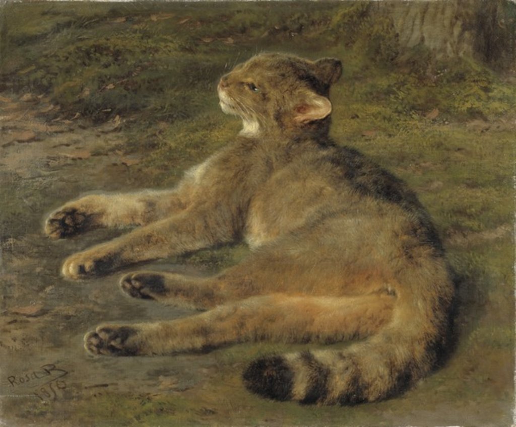 Detail of Wild Cat, 1850 by Rosa Bonheur