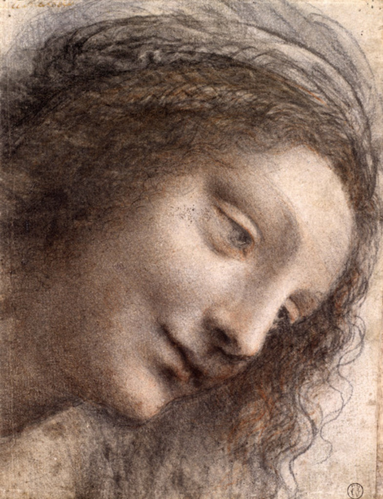 Detail of Head of Virgin, 1508-1512 by Leonardo da Vinci