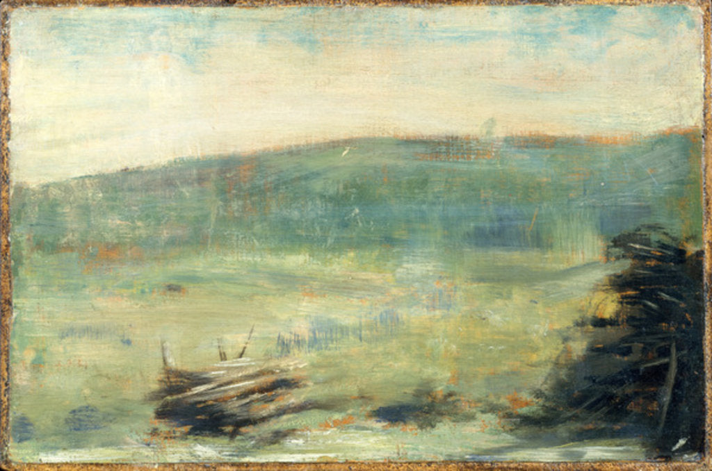 Detail of Landscape at Saint-Ouen, 1878-79 by Georges Pierre Seurat