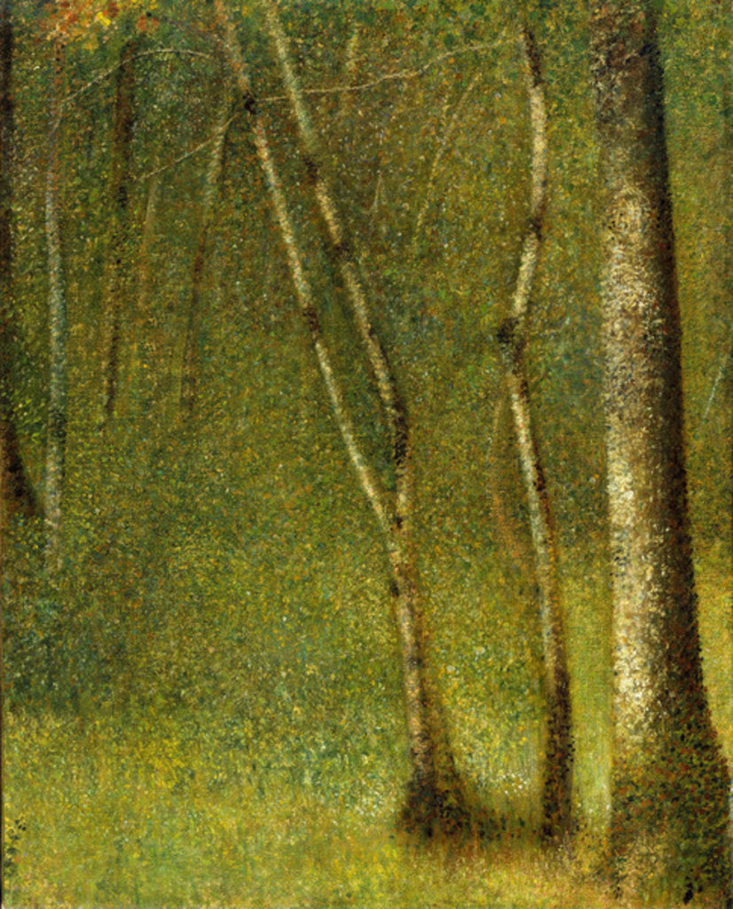Detail of The Forest at Pontaubert, 1881 by Georges Pierre Seurat